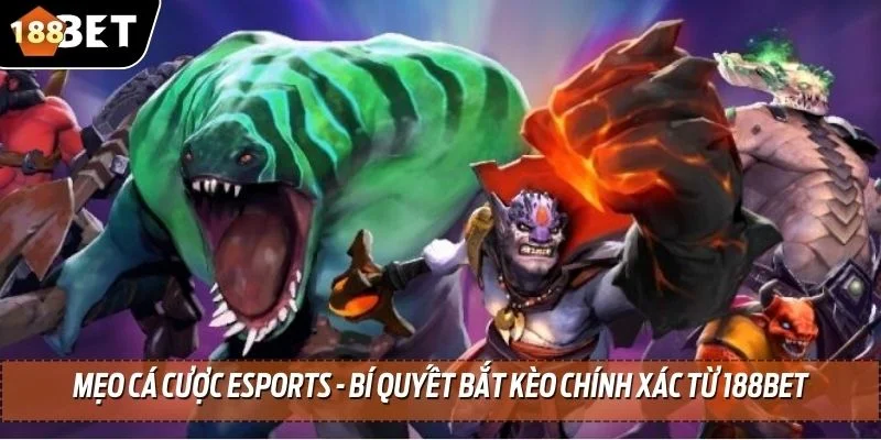 meo ca cuoc esports thumb