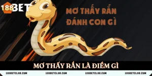 Mơ thấy rắn là điềm gì? Giải mã ý nghĩa