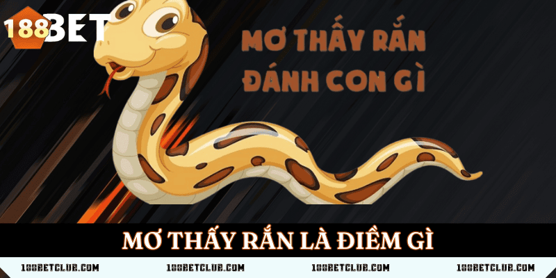 Mơ thấy rắn là điềm gì? Giải mã ý nghĩa